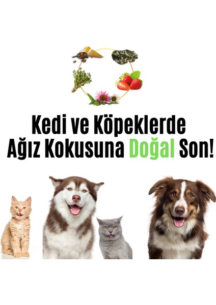 %100 Doğal Aktif Bileşenli Kedi ve Köpek Diş Macunu