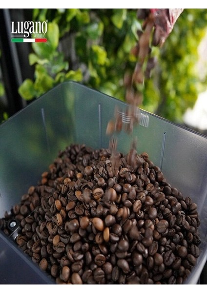 Lugano Çekirdek Kahve Arabıca 1 kg modelleri