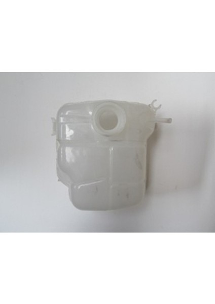 Chevrolet Cruze - 09/14 Radyatör Yedek Su Deposu Kapaksız (Bfn) 13256823