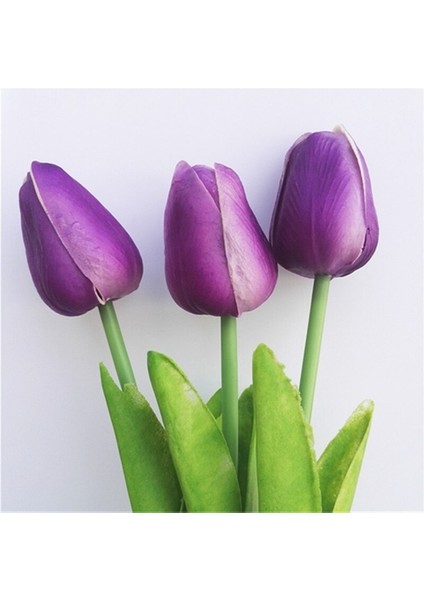100 Adet Mor Renk Lale Çiçeği Tohumu + 10 Adet Hollanda Gülü Çiçek Tohumu