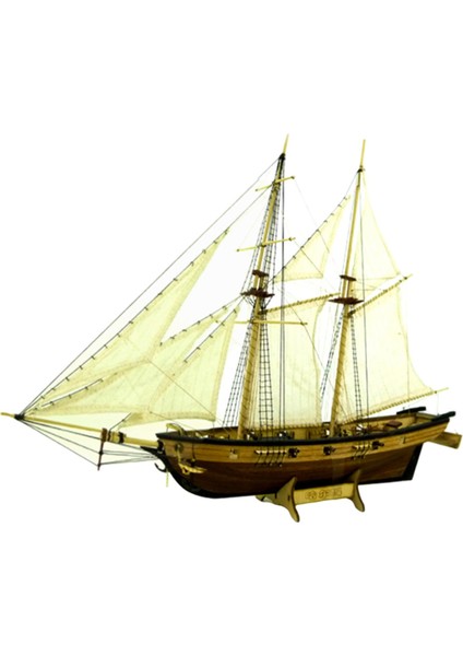 Yelkenli Gemi (Yurt Dışından)