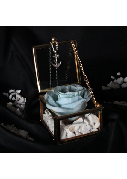 Dekoratif Kutu Kapaklı Camlı Metal Mavi Gül Çapa Kolye Hediye