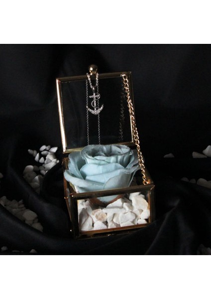 Dekoratif Kutu Kapaklı Camlı Metal Mavi Gül Çapa Kolye Hediye fiyatları