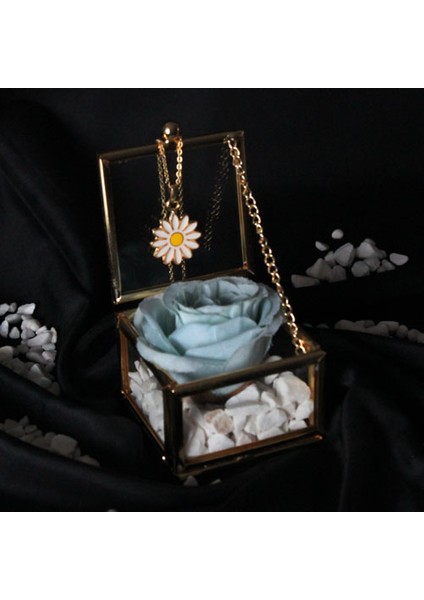 Dekoratif Kutu Kapaklı Camlı Metal Mavi Gül Altın Kaplama Papatya Kolye Hediye fiyatları