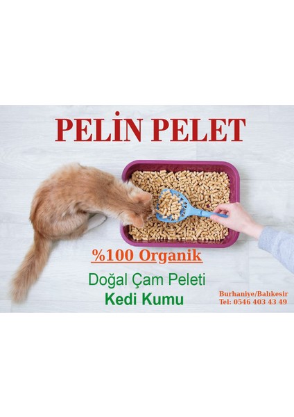 PELİNPELET Kedi kumu Çam Peleti 8mm 40 lt(20 kg)