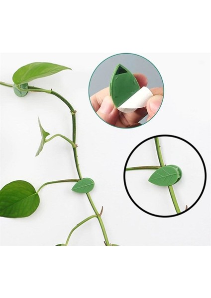 10 Lu Yaprak Tasarımlı Kablo Bitki Sarmaşık Düzenleyici Yapışkanlı Klipsler modelleri