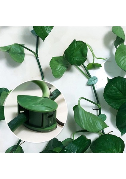 10 Lu Yaprak Tasarımlı Kablo Bitki Sarmaşık Düzenleyici Yapışkanlı Klipsler fırsatları