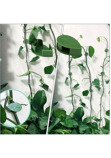 10 Lu Yaprak Tasarımlı Kablo Bitki Sarmaşık Düzenleyici Yapışkanlı Klipsler indirimleri