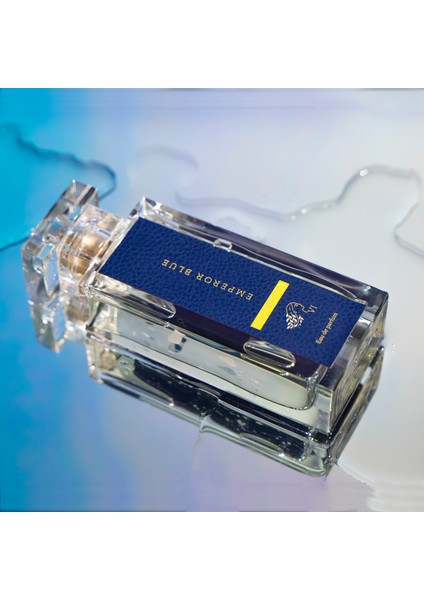 V Edp 100ML Kadın