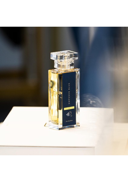 V Edp 100ML Kadın fırsatları