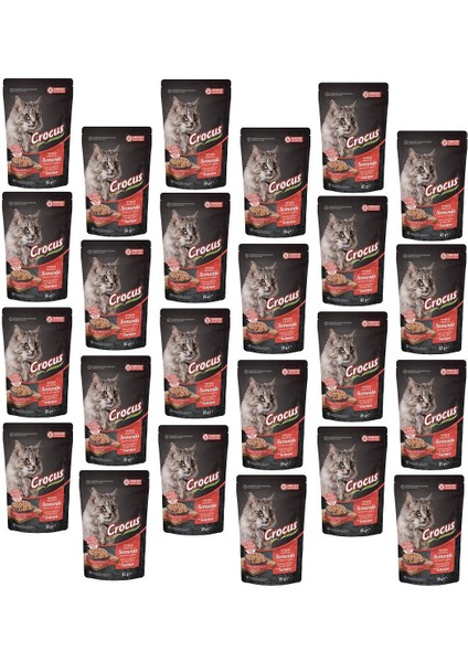 Pouch Tahılsız Jöleli Somonlu Kedi Konservesi 85 gr (24 Adet)