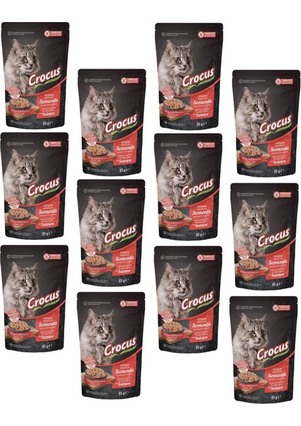 Pouch Tahılsız Jöleli Somonlu Kedi Konservesi 85 gr (12 Adet)