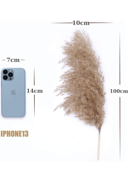 Pampas Otu Dekoru Uzun 10 Adet, 100CM Boyundan Pampas Otu Zemin Vazo Için, fiyatları