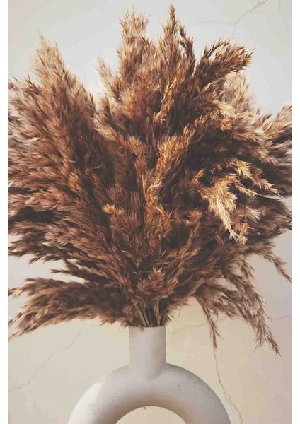 10 Adet Doğal Kurutulmuş Kabarık Pampas Çiçek Aranjmanı Dekor Vazo Için 100CM Boyunda fırsatları