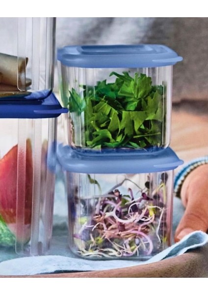 Şeffaf Modüler Kap 460 ml Saklama Kabı