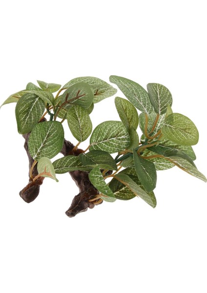 Sakallı Kertenkeleler Için Sürüngen Bitkileri Teraryum Tesisi Geckos Dekor # 1 (Yurt Dışından)