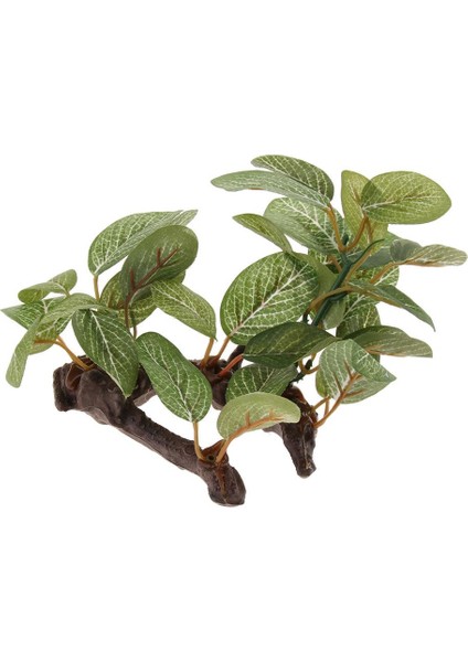 Sakallı Kertenkeleler Için Sürüngen Bitkileri Teraryum Tesisi Geckos Dekor # 1 (Yurt Dışından) fiyatları