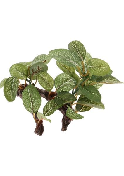 Sakallı Kertenkeleler Için Sürüngen Bitkileri Teraryum Tesisi Geckos Dekor # 1 (Yurt Dışından) fırsatları