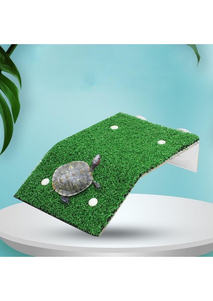 Kaplumbağa Tank Dekorasyonları Kaplumbağa Balık Tankı Dekor Kaplumbağa Tank Aksesuarları 11.5 x 12 x 4 cm (Yurt Dışından)
