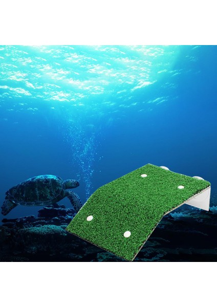 Kaplumbağa Tank Dekorasyonları Kaplumbağa Balık Tankı Dekor Kaplumbağa Tank Aksesuarları 11.5 x 12 x 4 cm (Yurt Dışından)