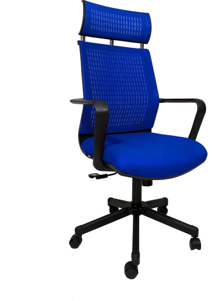 Efor Fileli Şef Bilgisayar Ofis Çalışma Koltuğu FK1401 Mavi