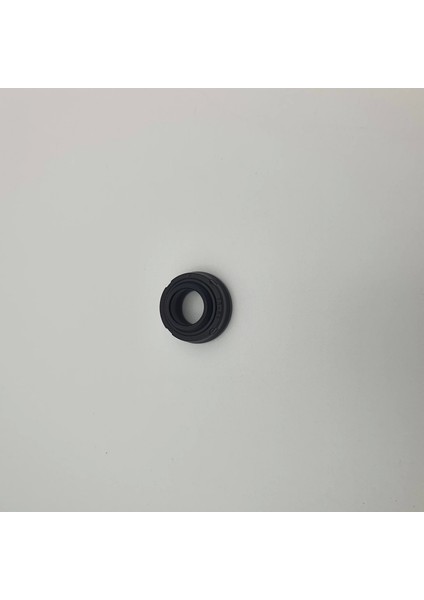 Pnomatik Toz Boğaz Keçesi Nbr/sac K30 - 20X30X9.5/7