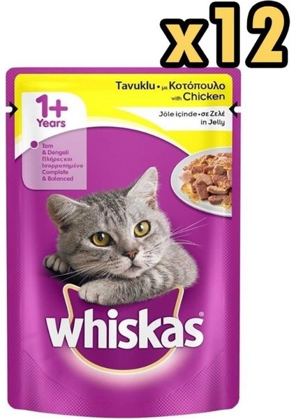 Pouch Jöleli Tavuklu Yaş Kedi Maması 100GR x 12 Adet
