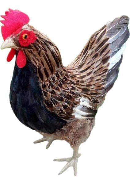 Dış Mekan Kapalı Veranda ve Scape L Için Hen Modeli Ife Hayvan Figürü (Yurt Dışından)