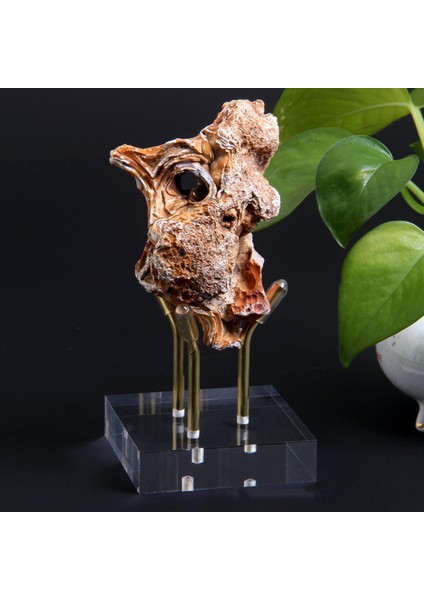 Easel Stand Raf Destek Taş Kaya Mineral Akrilik Ekran Sahibi L (Yurt Dışından)