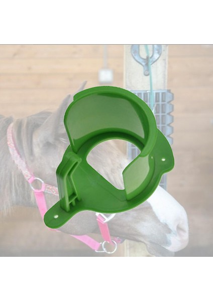 Bridle Hook Askı Binicilik Raf Duvarı Monte Headcollar (Yurt Dışından)