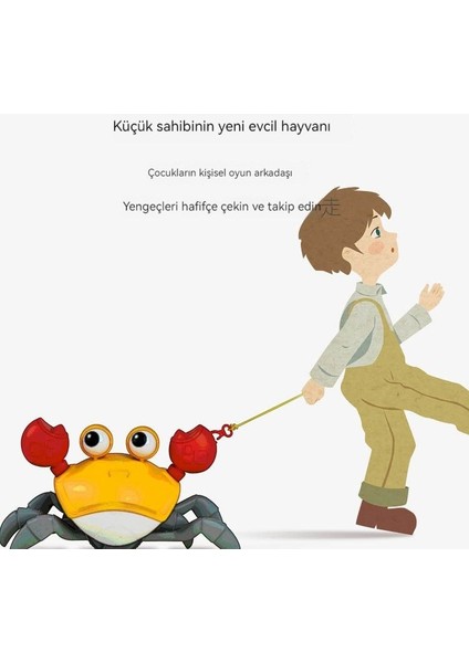 Prodigy Toy Çizgi Film Yengeç Plaj Su Saati Eğitici Oyuncak