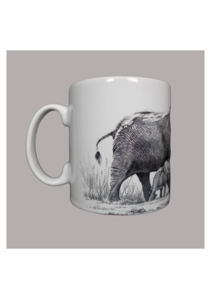 Safari Kupa fiyatları