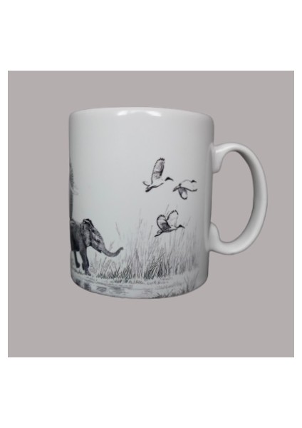 Safari Kupa modelleri