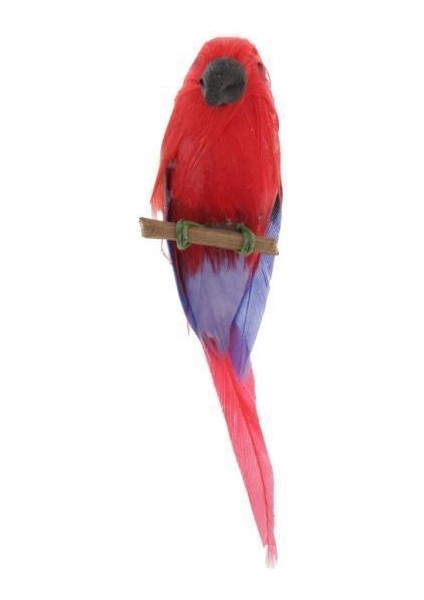 Dollhouse Minyatür Parrot 2 Pcs (Yurt Dışından)