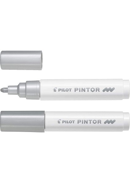 Pılot Pintor (M) - Gümüş