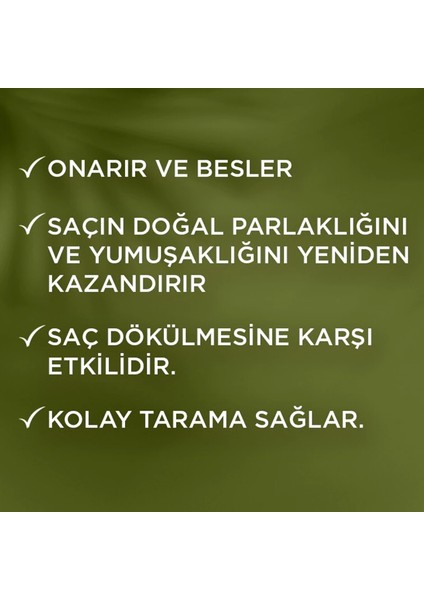 Botanic Oil Argan Yağlı Sıvı Saç Kremi 200 Ml 2 Adet fiyatları