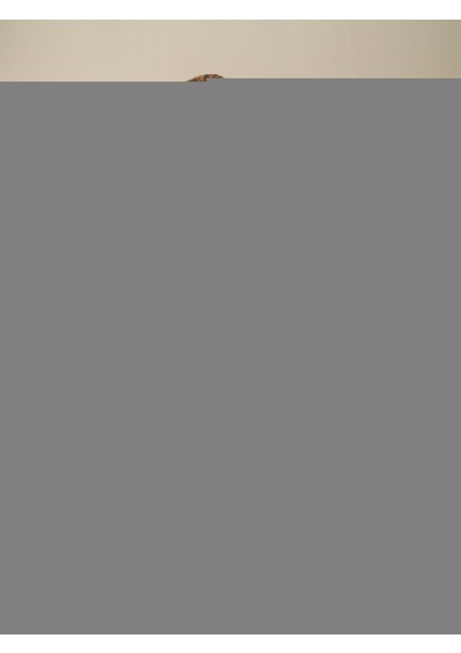 Erkek Camel Regular Fit Pantolon modelleri