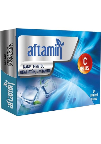 Nane Mentol Okaliptüslü Pastil 24 Adet
