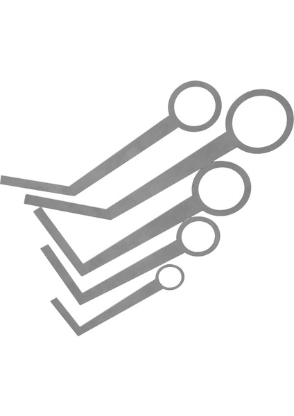 5 Pcs Alto / Soprano / Tenor Saksafon Piccolo İçin Paslanmaz Çelik Saksafon Onarım Kiti (Yurt Dışından)