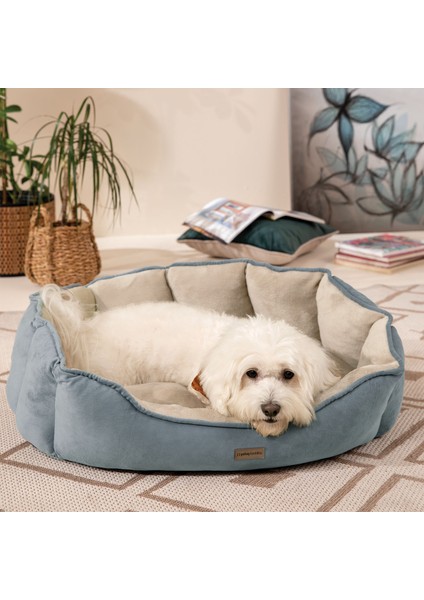 Oscar Kedi & Köpek Yatağı - Küçük Boy