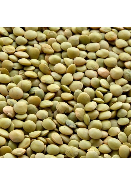 Yerli Mercimek 500 G