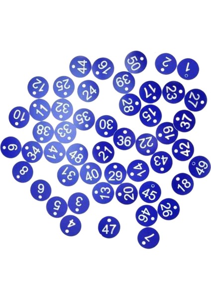 100X Protable Numarası Tag Numarası 1-100 Otel Depo Yurdu Tuşları Için Mavi + Beyaz Kelime (Yurt Dışından) modelleri