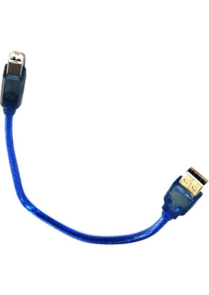 Yüksek Hızlı Yazıcı Veri Kablosu USB 2.0 Mavi Için Erkekten Erkekten Erkek (Yurt Dışından) indirimleri