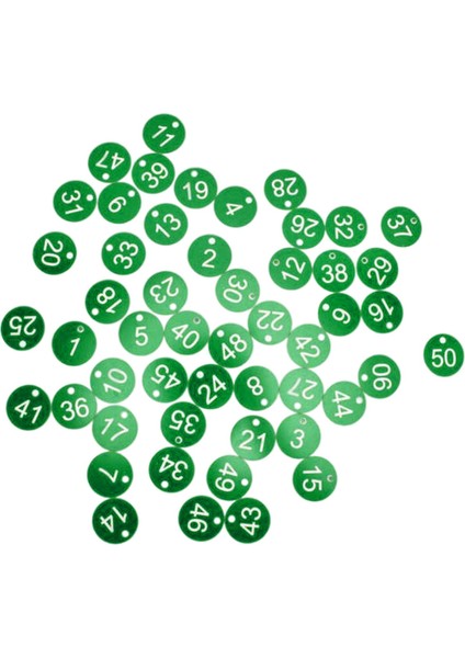 100X Protable Numarası Tag Numarası 1-100 Otel Depo Yurdu Tuşları Yeşil (Yurt Dışından)
