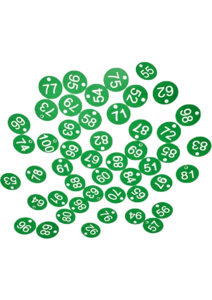 100X Protable Numarası Tag Numarası 1-100 Otel Depo Yurdu Tuşları Yeşil (Yurt Dışından) modelleri