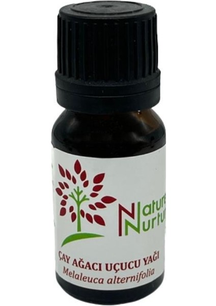 Çay Ağacı Uçucu Yağı(Melaleuca Alternifolia) 10ML