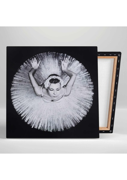 Balerin Kuş Bakışı Görüntüsü Kanvas Tablo fiyatları