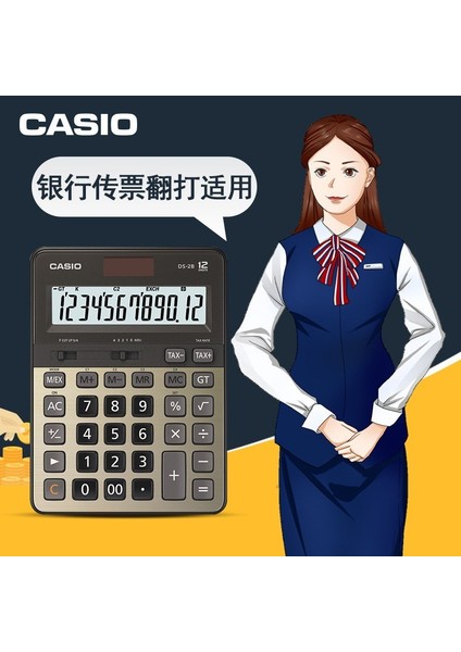 Casıo Ds-2b 12 Haneli Masaüstü Hesap Makinesi
