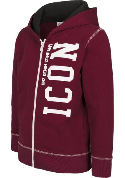 Erkek Çocuk Baskılı Fermuarlı Kapüşonlu Sweatshirt fiyatları