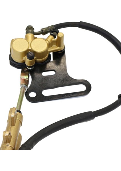 110CC 125CC 140CC Motosiklet Için Alüminyum 12MM Arka Fren Kaliperi Aksesuarı (Yurt Dışından) fırsatları